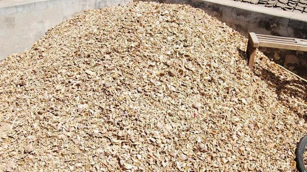 The details gathered from police have revealed that around 1,164 kg poppy husk has been recovered in the past six months and?six ‘peddlers’ from Jammu and Kashmir besides five locals have been arrested.(Representative image)