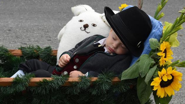 Little Ben sleeps in his trolley during the traditional costume and riflemen parade. The festival was first held in 1810 to celebrate the marriage of Crown Prince Ludwig of Bavaria to Theresa of Saxony. The festivities were repeated annually in October, but were later brought forward to start in September when the temperatures in Bavaria are usually warmer. (Christof Stache / AFP) Little Ben sleeps in his trolley during the traditional costume and riflemen parade. The festival was first held in 1810 to celebrate the marriage of Crown Prince Ludwig of Bavaria to Theresa of Saxony. The festivities were repeated annually in October, but were later brought forward to start in September when the temperatures in Bavaria are usually warmer. (Christof Stache / AFP)