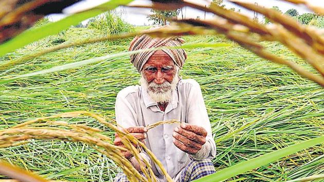 “The government should be allowed by EC to provide relief of Rs 2 lakh to farmers before the next crop cycle,” said Dera Baba Nanak MLA Sukhjinder Randhawa said.(HT File/Representative image)