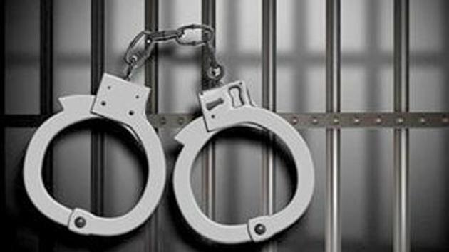 Delhi police said Saufi confessed to the crime on Tuesday when they put him through sustained interrogation. (HT FILE) Delhi police said Saufi confessed to the crime on Tuesday when they put him through sustained interrogation. (HT FILE)