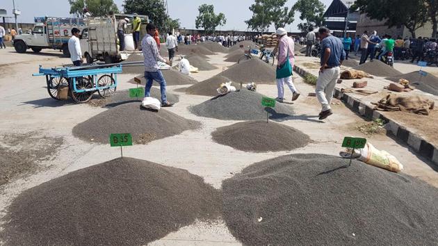 Urad (black gram) kept at the Bhamashamandi in Kota for sale. (AH Zaidi/HT Photo) Urad (black gram) kept at the Bhamashamandi in Kota for sale. (AH Zaidi/HT Photo)