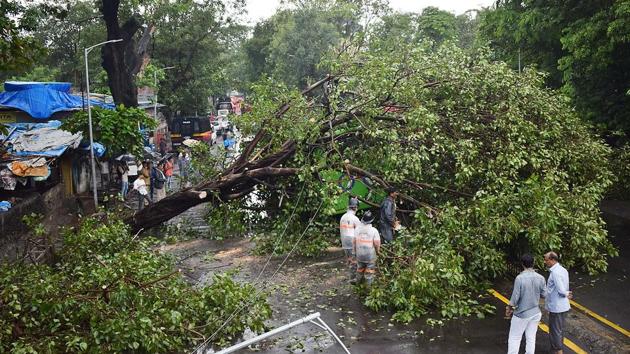 A tree collapsed on a private bus at Court naka in Thane. (Praful Gangurde/HT PHOTO)