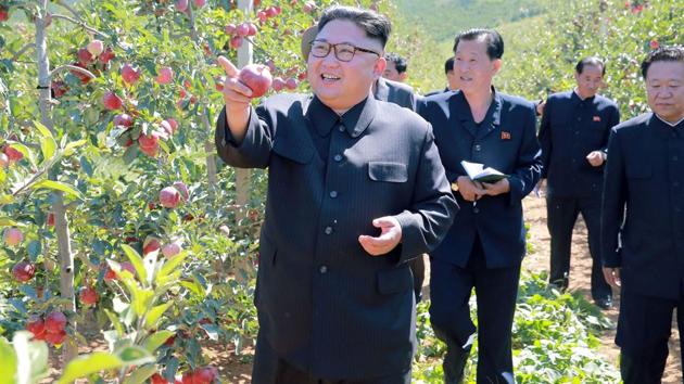 This undated picture released from North Korea's official Korean Central News Agency on Thursday shows North Korean leader Kim Jong-Un visiting a fruit farm at Kwail County, South Hwanghae Province. (AFP) This undated picture released from North Korea's official Korean Central News Agency on Thursday shows North Korean leader Kim Jong-Un visiting a fruit farm at Kwail County, South Hwanghae Province. (AFP)