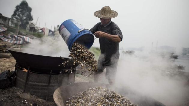 A man from the Tanka community boils shells on the beach in Datang. They are not listed as a Chinese ethnic minority, but have been classified as an impoverished subgroup of the Han majority. (Fred Dufour / AFP)