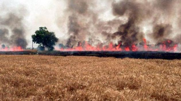 The straw burning has become a major environmental issue, the absence of any subsidy on farm machinery is restricting farmers from using them.(Representative Image)