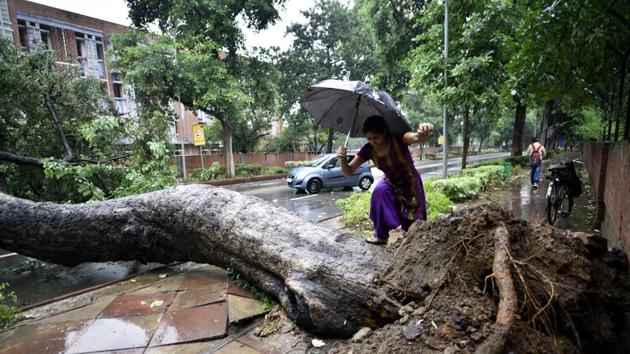 A tree fell at Madhav Scindia Marg road in the afternoon, briefly halting the traffic in New Delhi. (Arun Sharma/HT PHOTO) A tree fell at Madhav Scindia Marg road in the afternoon, briefly halting the traffic in New Delhi. (Arun Sharma/HT PHOTO)