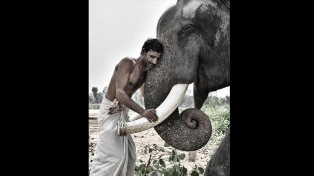 Mukut Yadav, a mahout employed by Yousuf Ali, owner of two elephants in Wazirabad has spent twenty years caring for the tuskers. (Arun Sharma / HT PHOTO)