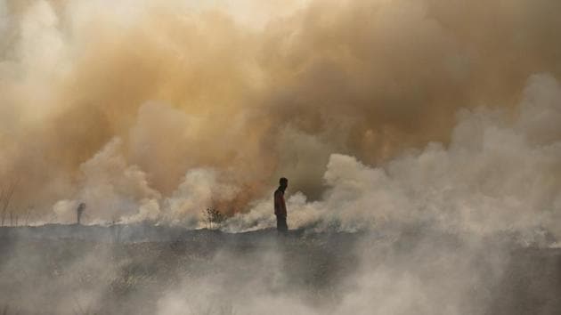 A disaster management officer walks towards a brush fire as other firefighters (not pictured) attempt to extinguish it near Palembang, South Sumatra, Indonesia. (REUTERS) A disaster management officer walks towards a brush fire as other firefighters (not pictured) attempt to extinguish it near Palembang, South Sumatra, Indonesia. (REUTERS)