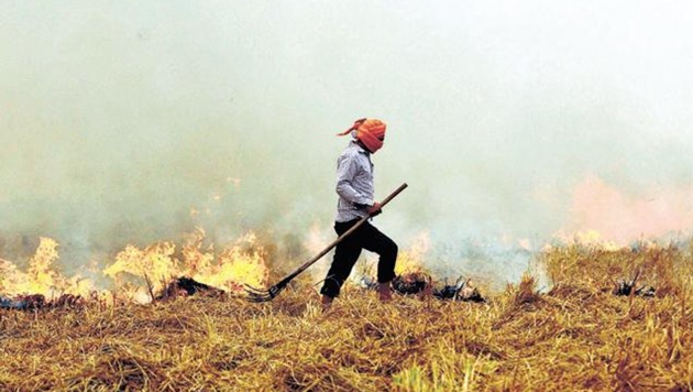 Stubble burning in Punjab is rampant despite a ban on the practice. (HT File) Stubble burning in Punjab is rampant despite a ban on the practice. (HT File)