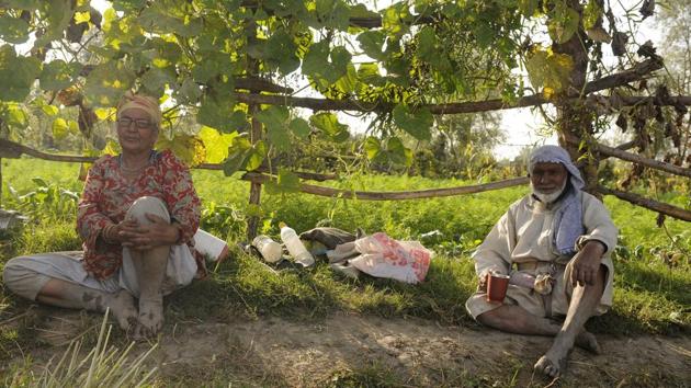 Rice cultivation is an integral component of the state’s rich cultural heritage. The crop is grown on 100% irrigated ecology in Kashmir valley and with melting snow as the predominant source of irrigation. (Waseem Andrabi / HT Photo) 