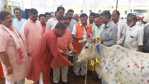 The cow sanctuary will also double as a centre of research on Indian cattle breeds.(HT Photo)
