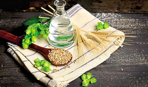 Much like the wheat plant barley is a kind of grass, its grains are called jau(Getty Images)