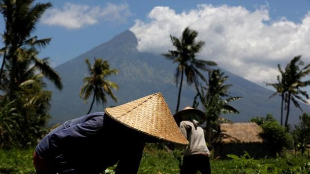 Mount Agung, a volcano which had its alert status raised to the highest level last week, is seen as farmers tend their crops near Amed, on the resort island of Bali, Indonesia September 29, 2017.(REUTERS)