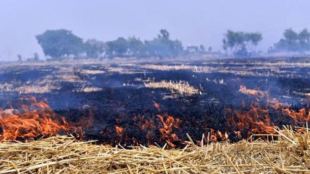 In the past, the state department of science, technology and environment had issued a notification to ban burning of crop residue.(HT Representative Image)