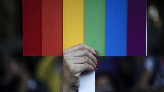 A participant holds a rainbow coloured placard during Delhi Queer Pride Parade, an event promoting gay, lesbian, bisexual and transgender rights, in New Delhi. (File) A participant holds a rainbow coloured placard during Delhi Queer Pride Parade, an event promoting gay, lesbian, bisexual and transgender rights, in New Delhi. (File)