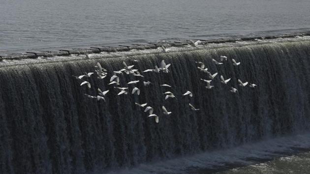Migratory birds fly over the Gangau Dam and Reservoir on Ken river in Panna National Park in Chhattarpur district, Madhya Pradesh. A MoU was signed in 2005 between the Centre and the two states (MP and UP) to start work on the project. (Vipin Kumar / HT PHOTO)