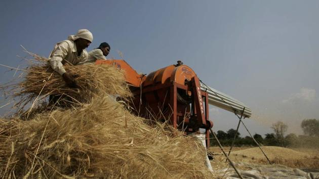 Maharashtra agriculture minister Pandurang Fundkar has asked the farmers to protect their harvested crop in the wake of a thunderstorm and heavy rainfall warning issued for Marathwada and Konkan region till October 14. (HT photo) Maharashtra agriculture minister Pandurang Fundkar has asked the farmers to protect their harvested crop in the wake of a thunderstorm and heavy rainfall warning issued for Marathwada and Konkan region till October 14. (HT photo)