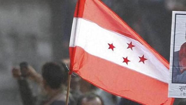 A supporter holds the flag of the Nepali Congress party.(AP File) A supporter holds the flag of the Nepali Congress party.(AP File)