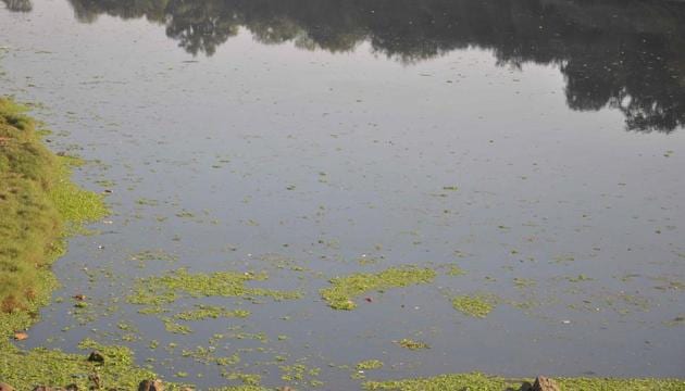 Ulhas river is one of the most polluted river in the country.(HT photo)