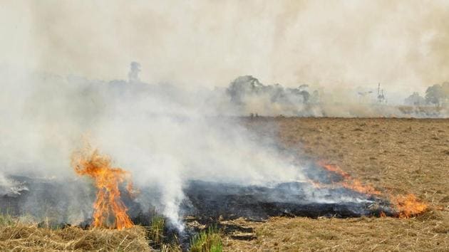 Farmers who burn paddy stubble are liable to booked under Section 188 (disobedience to order duly promulgated by a public servant) of the Indian Penal Code. (HT FIle Photo) Farmers who burn paddy stubble are liable to booked under Section 188 (disobedience to order duly promulgated by a public servant) of the Indian Penal Code. (HT FIle Photo)