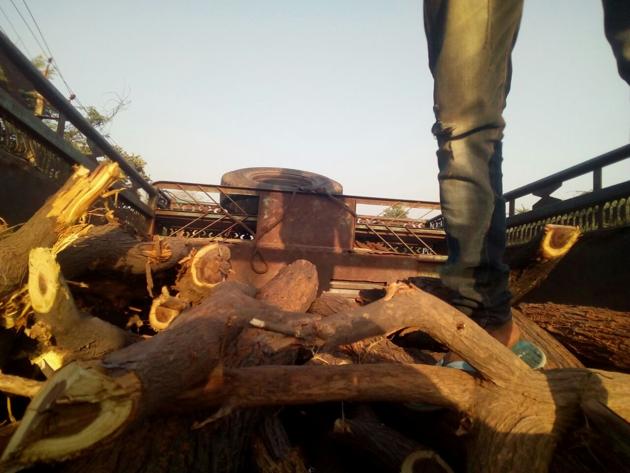 The trees chopped along the Gurgaon-Faridabad highway. (HT PHOTO) The trees chopped along the Gurgaon-Faridabad highway. (HT PHOTO)