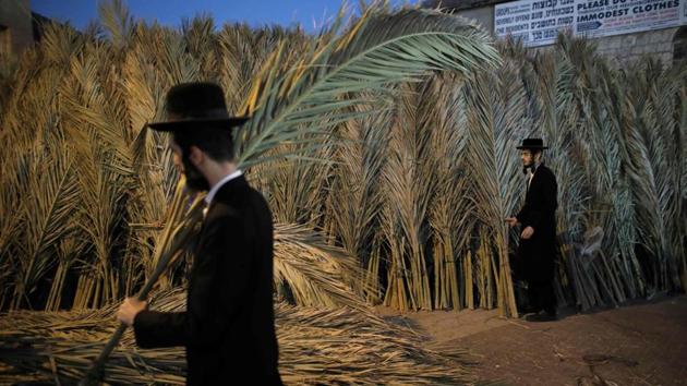 An Ultra-Orthodox Jewish man carries palm branches for the roof of his Sukkah, a temporary hut constructed for use during the Jewish festival of Sukkot or the Feast of the Tabernacles in the neighbourhood of Mea Shearim, Jerusalem. Sukkot, a week-long holiday feast which began on October 4 is meant to commemorate the exodus of Jews from Egypt some 3200 years ago. (Menahem Kahana / AFP)