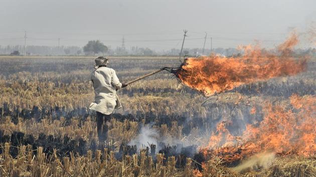 A farmer in Karnal sets crop-residue on fire, leaving behind black ash. Stubble burning has already started on Delhi’s borders and NASA images revealed that red dots — denoting incidents of fire — have started appearing almost everywhere in Haryana and Punjab. (Burhaan Kinu / HT PHOTO)