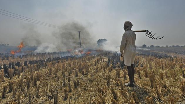 Winter’s coming and Delhi’s annual nightmare is already taking shape beyond its borders as cases of crop burning are being reported from Haryana and officials fear the number will rise drastically in the coming days. This, in turn, will trigger heavy pollution in the national capital region. (Burhaan Kinu / HT PHOTO)