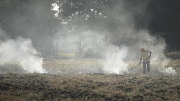 Farmers set agricultural stubble on fire in Punjab. Smoke from fields in Punjab and Haryana chokes Delhi every year.(Sanchit Khanna/HT PHOTO)