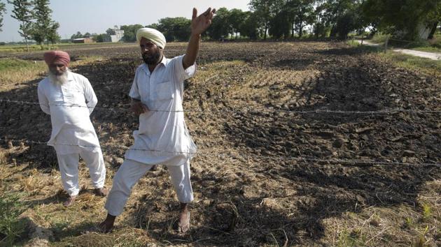 Darshan Singh, a farmer from Bandna Village talks about agricultural stubble processing. Farmers set crop residue afire mainly because of cost concerns and the short gap between summer and winter crops. (Sanchit Khanna/HT PHOTO)