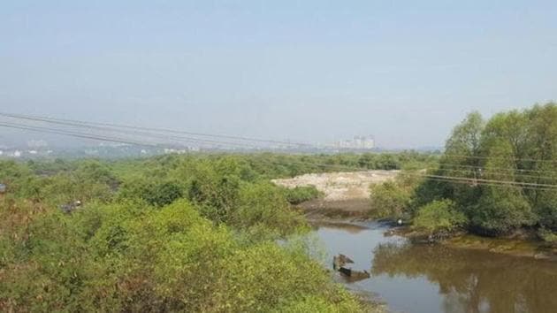 Mumbai has 5,800 hectares (ha) of mangrove cover – 4,000 ha on government-owned land and 1,800 ha in private areas -- covering nearly 10% of its area(FILE) Mumbai has 5,800 hectares (ha) of mangrove cover – 4,000 ha on government-owned land and 1,800 ha in private areas -- covering nearly 10% of its area(FILE)