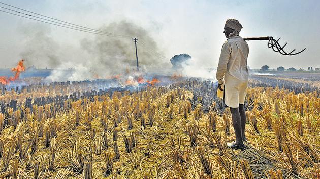 Delhi’s annual pollution nightmare is already taking shape beyond its borders as cases of crop stubble burning are being reported from Haryana and Punjab.(Burhaan Kinu/HT PHOTO) Delhi’s annual pollution nightmare is already taking shape beyond its borders as cases of crop stubble burning are being reported from Haryana and Punjab.(Burhaan Kinu/HT PHOTO)