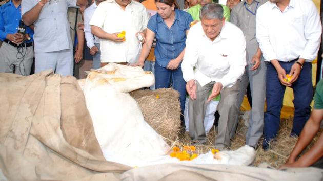 Former chief minister Harish Rawat pays tribute to police horse Shaktiman which died at Police Lines in Dehradun on April 20, 2016.(HT FILE PHOTO) Former chief minister Harish Rawat pays tribute to police horse Shaktiman which died at Police Lines in Dehradun on April 20, 2016.(HT FILE PHOTO)