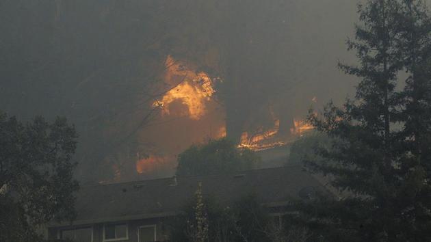 A tree catches fire near houses in the Oakmont are of Santa Rosa, California. (AP Photo) A tree catches fire near houses in the Oakmont are of Santa Rosa, California. (AP Photo)