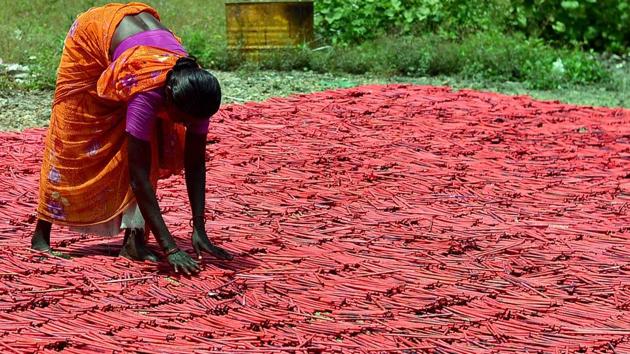 A woman employee drying up crackers at a factory in Sivakasi district in Tamil Nadu. The firecrackers business may be hit by crores due the ban on its sale in Delhi National Capital Region till October 31.(PTI Photo) A woman employee drying up crackers at a factory in Sivakasi district in Tamil Nadu. The firecrackers business may be hit by crores due the ban on its sale in Delhi National Capital Region till October 31.(PTI Photo)