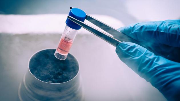 A liquid nitrogen bank containing suspension of stem cells.(Getty Images/iStockphoto)