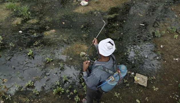 Dengue is a viral disease that is transmitted by the infective bite of Aedes Aegypti mosquito. (HT File) Dengue is a viral disease that is transmitted by the infective bite of Aedes Aegypti mosquito. (HT File)