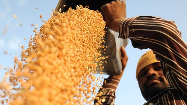 The Congress criticised the Cabinet nod to amend the Uttarakhand Agricultural Produce Act, saying the “unconstitutional” move was intended to remove the 16 chairpersons of Mandi Samitis. (HT File) The Congress criticised the Cabinet nod to amend the Uttarakhand Agricultural Produce Act, saying the “unconstitutional” move was intended to remove the 16 chairpersons of Mandi Samitis. (HT File)