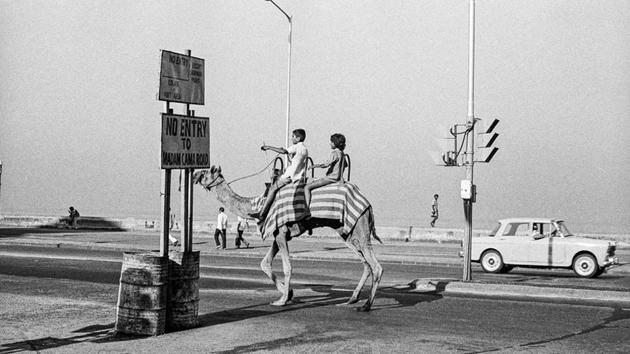 Camel at Marine Drive, Bombay 1977(? Sooni Taraporevala / Courtesy Sunaparanta)
