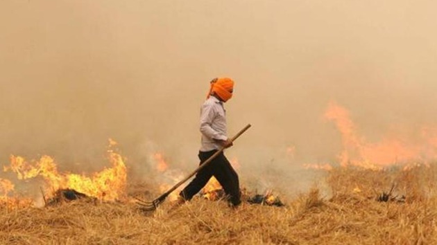 Paddy stubble is burnt by farmers across Punjab every October. (HT File) Paddy stubble is burnt by farmers across Punjab every October. (HT File)