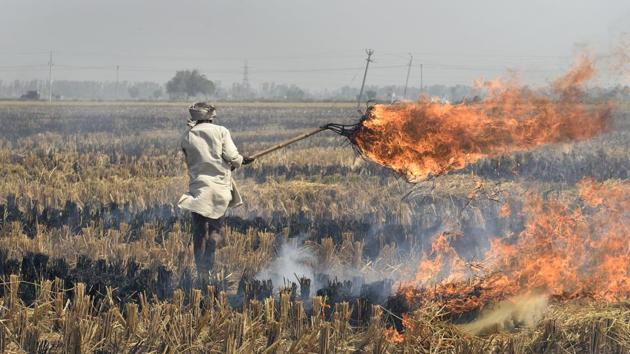 Winter’s coming, and Delhi’s annual nightmare is already taking shape beyond its borders as cases of crop burning are being reported from Haryana and officials fear the number will rise drastically in the coming days, in Karnal, Haryana. This, in turn, would trigger heavy pollution in the national capital region. (Burhaan Kinu / HT Photo)