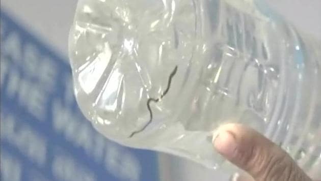 Horrified with the incident, the patient’s father informed that he had gone to fill his son’s water bottle, who is admitted in the hospital when the snake was found. (ANI Photo) Horrified with the incident, the patient’s father informed that he had gone to fill his son’s water bottle, who is admitted in the hospital when the snake was found. (ANI Photo)