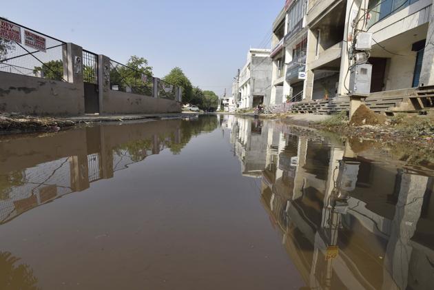 Stagnant water at Jharsa village, in Gurgaon, is a perfect breeding ground for dengue mosquitoes.(Sanjeev Verma/HT PHOTO)