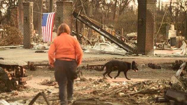 A search and rescue team searches for bodies at a property where a person was reported missing in Santa Rosa, California. Hundreds of people are still missing in massive wildfires which have swept through California. (AFP Photo)