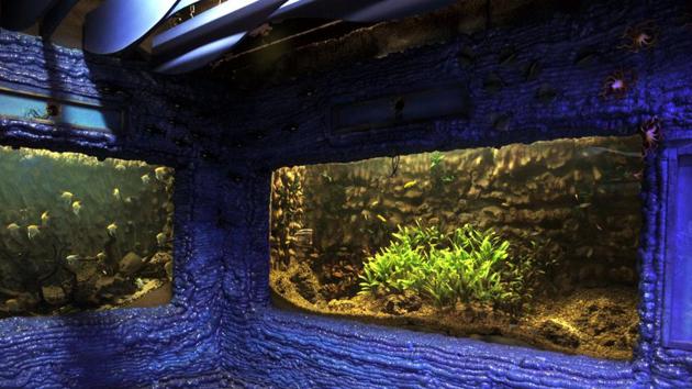 One of the displays at the aquariums at Sambhaji Garden, made by the by PMC  on Tuesday. (HT PHOTO) 