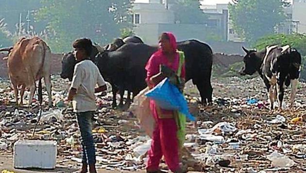Garbage strewn on the roadside near a residential locality in Muktsar. (HT Photo) Garbage strewn on the roadside near a residential locality in Muktsar. (HT Photo)