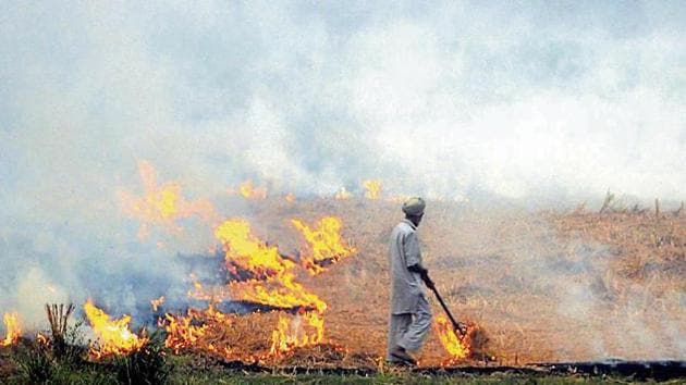 With 75% of the 19.7 million tonne of paddy straw generated in Punjab every year, the problem has assumed dangerous proportions.(HT Photo)