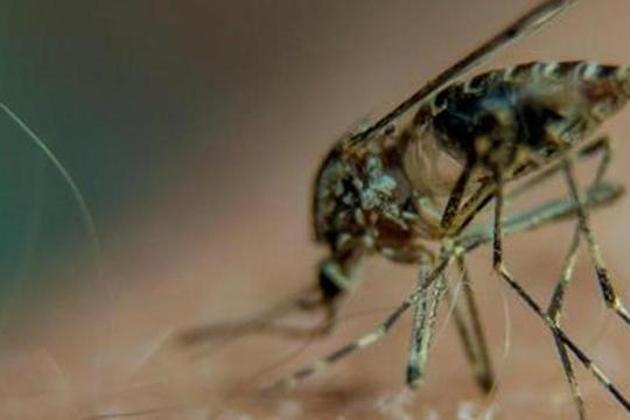 Poor hygiene conditions in the city were said to be one of the reasons behind the sudden rise in the number of dengue cases. (HT Representative Photo) Poor hygiene conditions in the city were said to be one of the reasons behind the sudden rise in the number of dengue cases. (HT Representative Photo)
