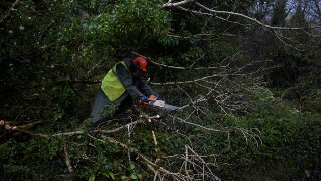 A worker clears fallen trees off a road with a chainsaw during Storm Ophelia in the County Clare area of the Burren, Ireland. ‘There are still dangers out there but the cleanup has started in some areas and the job of getting the country back to work has begun,’ the chairman of Ireland’s National Emergency Coordination Group said. (Clodagh Kilcoyne / REUTERS)