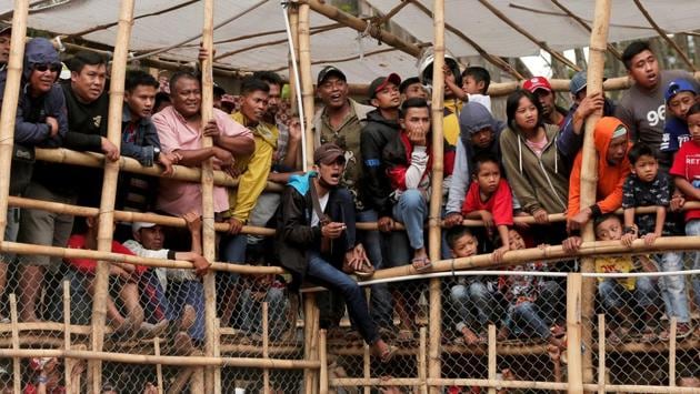 Villagers react as they watch an adu bagong match. Gathered around a bamboo-walled arena, residents here seem eager to watch the blood-curdling fights. They take place in a 15-by-30 metre (50 ft by 100 ft) arena surrounded by a bamboo fence to protect spectators, and only end when one of the animals is injured. (Beawiharta / REUTERS)